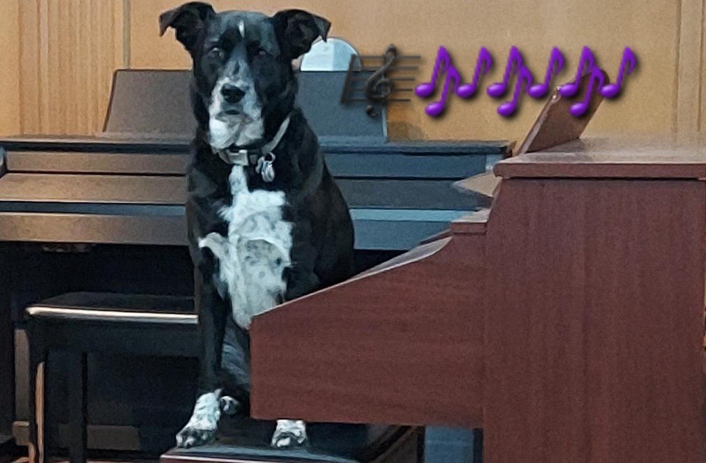 Screenshot 20231019 204004 Gallery