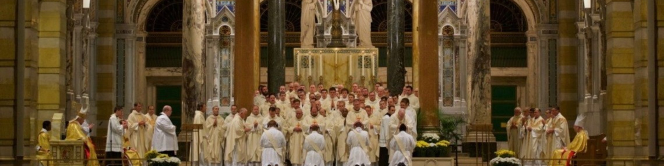 P5tv5i1swp161082s2fmxart9pl